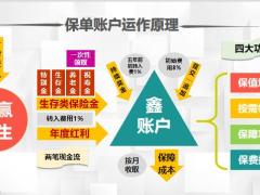 泰康智赢人生五讲四美三热爱三个功能真可爱17页.pptx