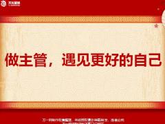 天安人寿做主管遇见更好的自己20页.pptx