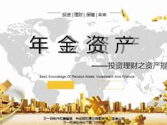 投资理财之资产规划年金保险22页.pptx