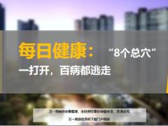 每日健康8个总穴一打开百病都逃走15页.ppt
