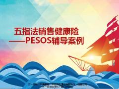 五指法销售健康险PESOS辅导及配套资料一张纸.zip