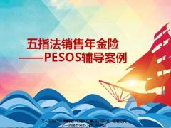 五指法销售年金险PESOS辅导及配套资料一张纸.zip