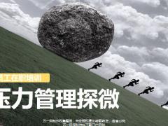保险公司员工培训压力管理探微45页.pptx