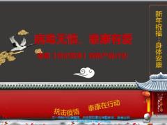 泰康世纪尊享产品构成计划特色案例2020春节病毒疫情下19页.pptx