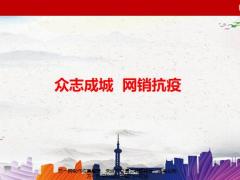 中意人寿网络销售移动版计划书网络营销介绍16页.pptx