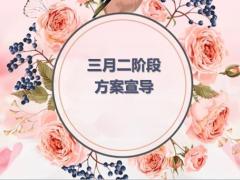 2020三月二阶段业务推动方案宣导片20页.pptx