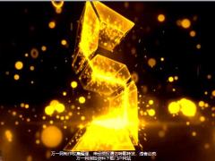 2020新春高端客户答谢会流程16页.pptx