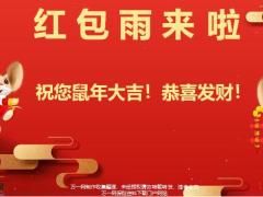 国寿抗击疫情微信红包会课件19页.pptx