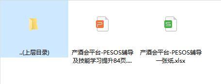 保险产酒会平台PESOS辅导及技能学习提升配套资料一张纸84页.zip