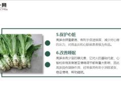 每日健康很多人老吃这种菜都不知道它是千金菜12页.ppt