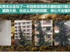每日快乐早会20年2月18日使用12页.ppt