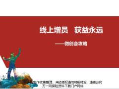 微创会召开背景工作步骤操作要点注意事项15页.pptx