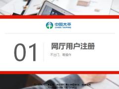 太平人寿网厅贷款及网厅注册18页.pptx
