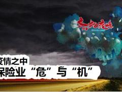 保险的意义做风险的逆行者37页.pptx