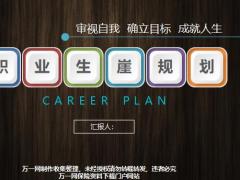 职业生涯规划黑底PPT模板26页.pptx