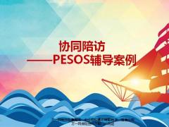 保险公司协同陪访PESOS辅导及配套资料一张纸.zip