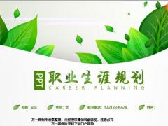 职业生涯规划白底绿叶PPT模板12页.pptx