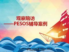 保险公司观察陪访PESOS辅导及配套资料一张纸.zip