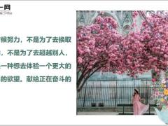 每日鸡汤献给正在奋斗的你.zip