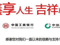国寿鑫吉宝自动计划书乐鑫版.xlsx