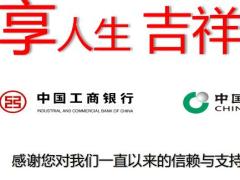 国寿鑫吉宝自动计划书乐鑫版加康悦.xlsx