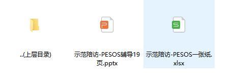 保险主管示范陪访PESOS辅导及配套资料一张纸.zip