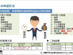 恒安标准基本法AIM职级优势解析18页.pptx