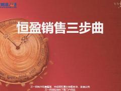 恒安标准恒盈年年销售三步曲26页.pptx