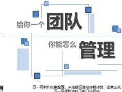 给你一个团队你该如何管理35页.pptx