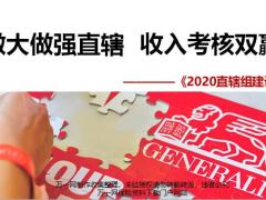 中意2020基本法直辖组建设方案13页.pptx