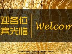 健康产说会年度经营汇报会恒安标准臻爱倍护48页.pptx
