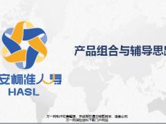 恒安标准产品组合与辅导思路39页.pptx