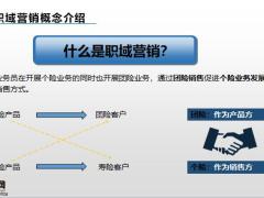 英大职域营销概念个销团产品介绍实用方法24页.pptx