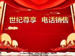 泰康世纪尊享电话销售话术快速促成异议处理辅助资料客户人群16页.pptx