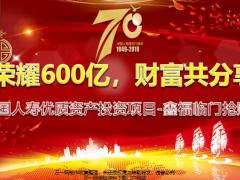 国寿优质资产投资项目鑫福临门抢购会主讲46页.pptx