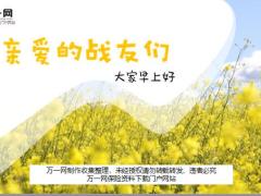 春天花朵盛开早会模板10页.ppt