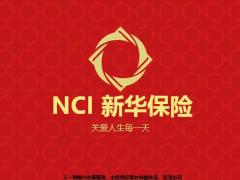 金融理财系列新华红色PPT模板34页.pptx