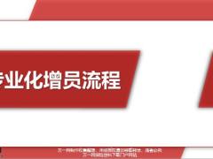 保险公司专业化增员流程概述及流程解析18页.pptx