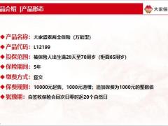 大家盛泰两全保险万能型保险责任产品形态利益演示11页.pptx