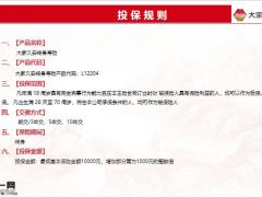 大家久安终身寿险产品保险责任产品形态利益演示8页.pptx
