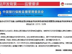 大家喜保险产品背景基本形态案例演示风险提示26页.pptx