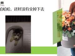 每日快乐早会20年3月4日使用12页.ppt