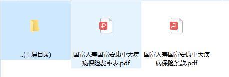 国富人寿国富安康重大疾病保险条款费率.zip