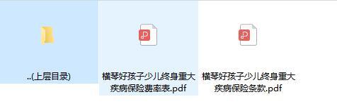 横琴好孩子少儿终身重大疾病保险条款费率表.zip