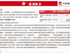 大家乐安一生保险责任产品形态利益演示13页.pptx