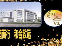2020合众人寿VIP客户私享会财富鑫禧保险41页.pptx