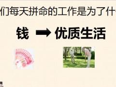 2020线上小说会重疾险理念导入篇38页.pptx