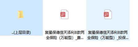 复星保德信天添利B款两全保险万能型费率投保规则.zip