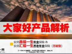安邦大家好产品解析含备注33页.pptx