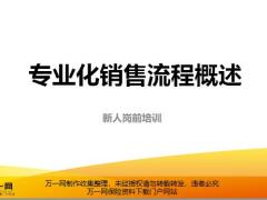保险新人岗前培训6专业化销售流程概述含讲师手册.zip